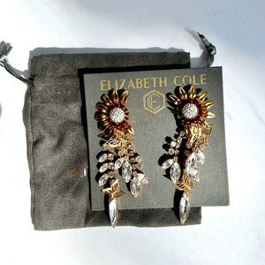 Elizabeth Cole Winnie Earrings - NWT